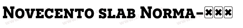 Novecento slab Norma字体转换